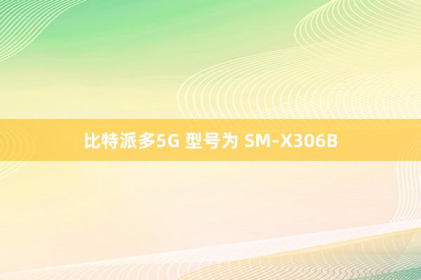 比特派多5G 型号为 SM-X306B