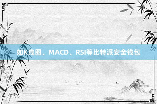 如K线图、MACD、RSI等比特派安全钱包