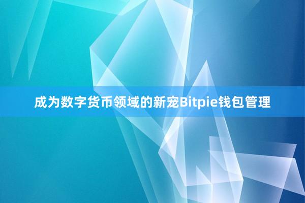 成为数字货币领域的新宠Bitpie钱包管理