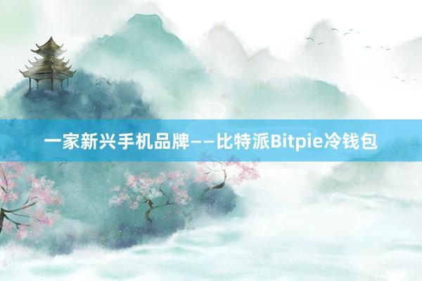 一家新兴手机品牌——比特派Bitpie冷钱包