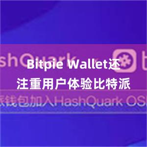 Bitpie Wallet还注重用户体验比特派