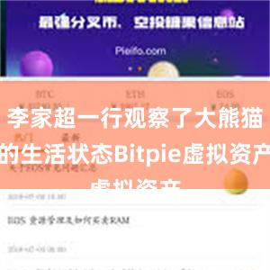 李家超一行观察了大熊猫的生活状态Bitpie虚拟资产