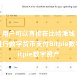 用户可以直接在比特派钱包上进行数字货币支付Bitpie数字资产