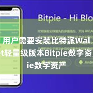 用户需要安装比特派Wallet轻量级版本Bitpie数字资产